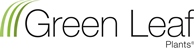 Green Leaf Logo